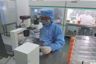 擬核與細(xì)胞核的區(qū)別及其在技術(shù)服務(wù)中的應(yīng)用